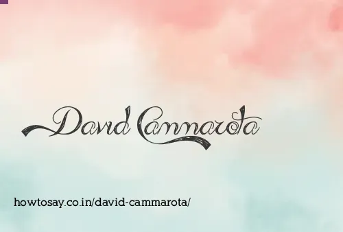 David Cammarota