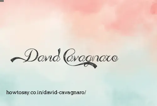 David Cavagnaro