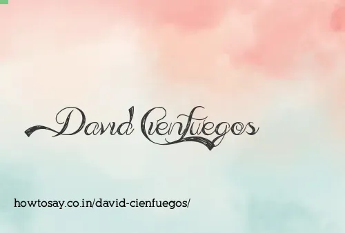 David Cienfuegos