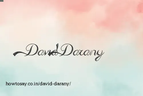 David Darany