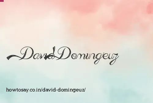 David Domingeuz
