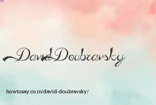 David Doubravsky