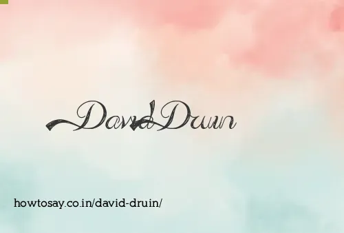 David Druin