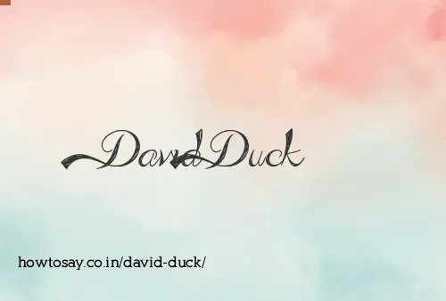 David Duck