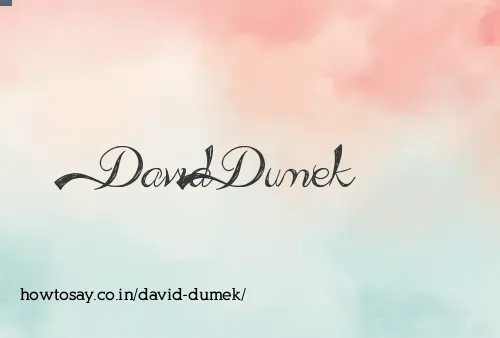David Dumek