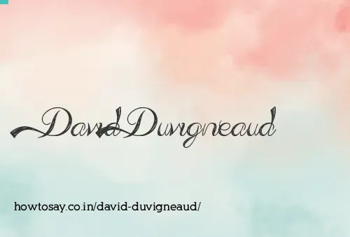 David Duvigneaud
