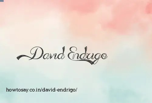 David Endrigo
