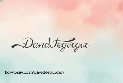 David Fegurgur
