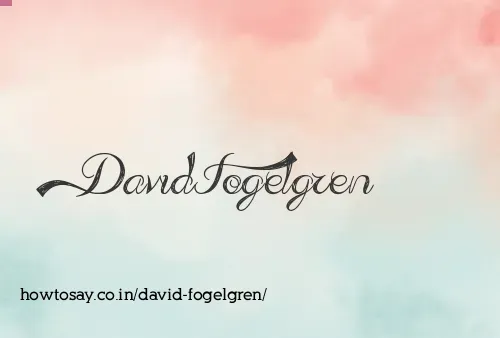 David Fogelgren