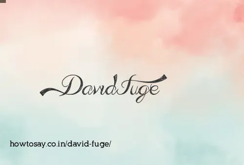 David Fuge