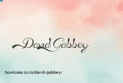 David Gabbey