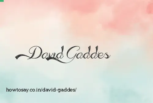 David Gaddes