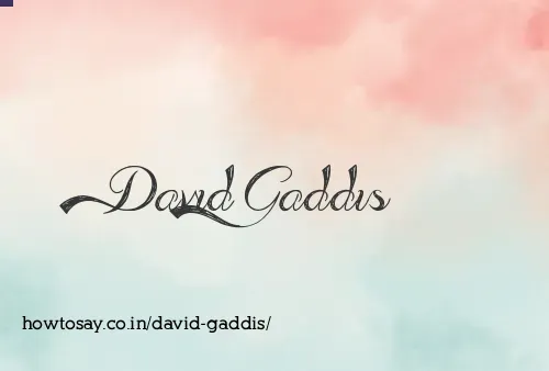David Gaddis