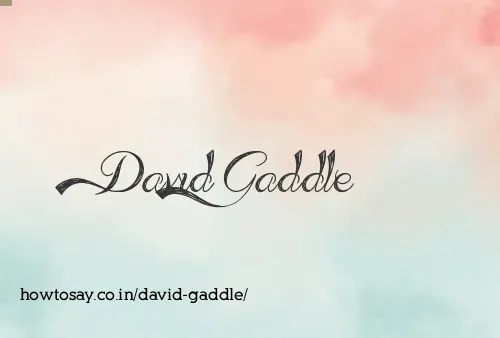 David Gaddle