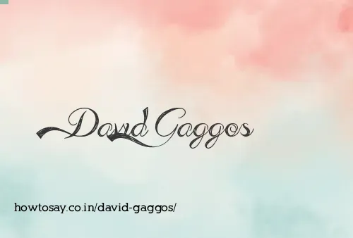 David Gaggos
