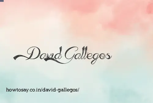 David Gallegos
