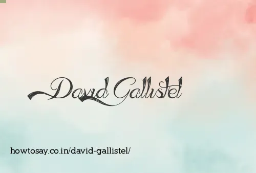 David Gallistel