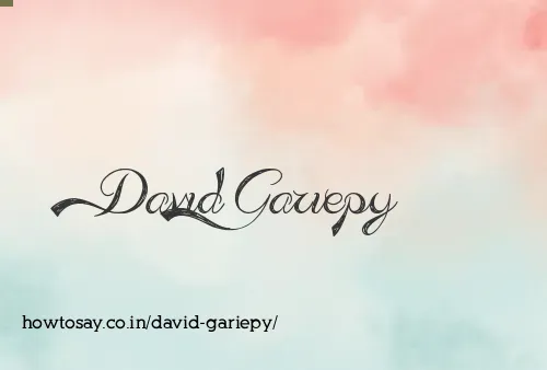 David Gariepy