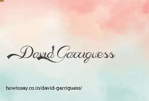 David Garriguess