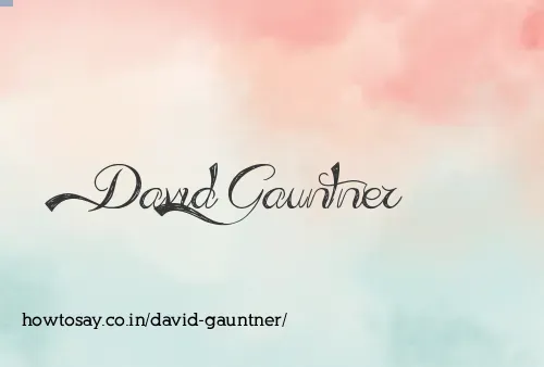 David Gauntner