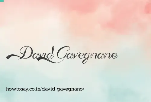 David Gavegnano