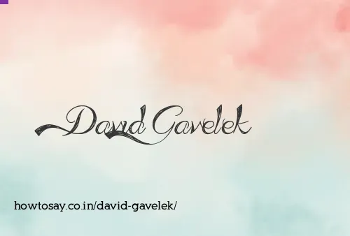 David Gavelek