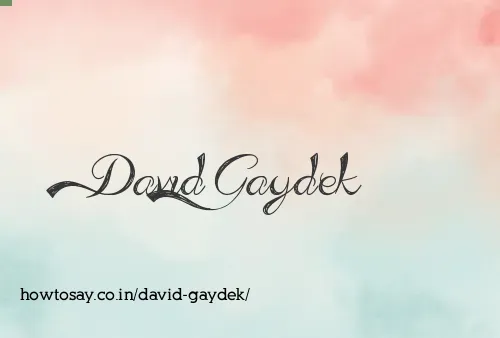 David Gaydek