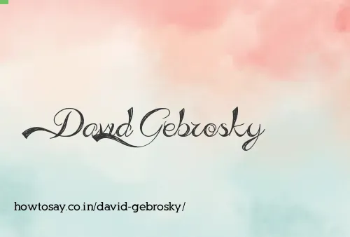 David Gebrosky