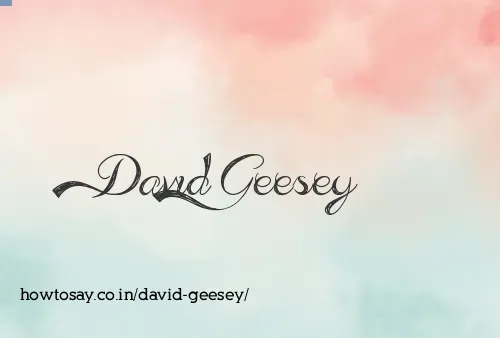 David Geesey