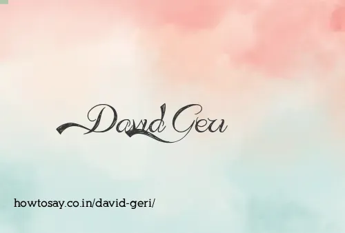 David Geri
