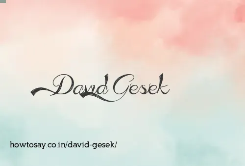 David Gesek