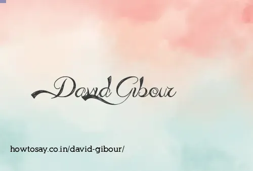 David Gibour