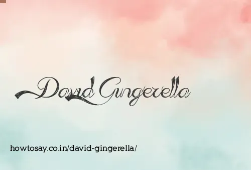 David Gingerella
