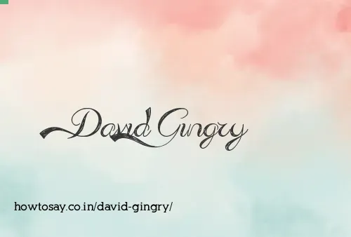 David Gingry