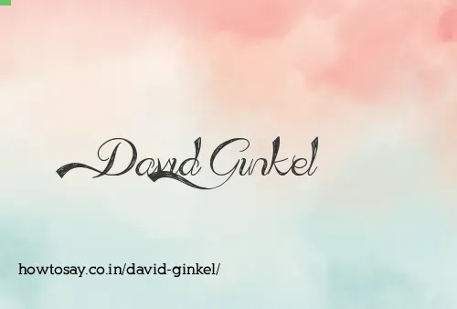 David Ginkel