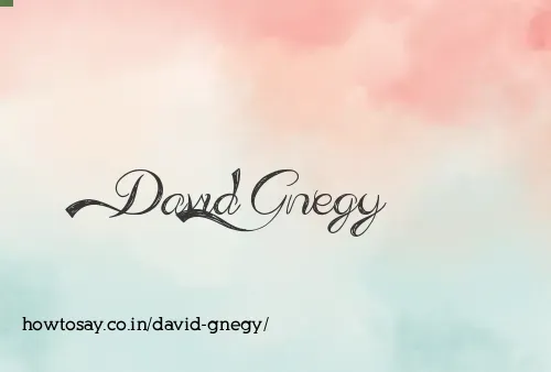 David Gnegy