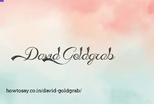 David Goldgrab