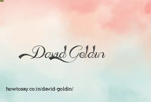 David Goldin