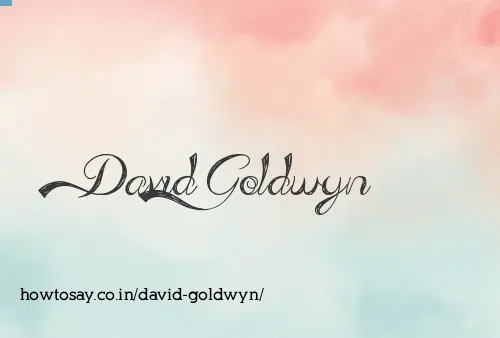 David Goldwyn