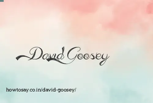 David Goosey