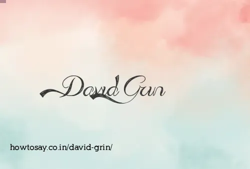 David Grin