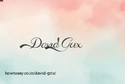 David Grix
