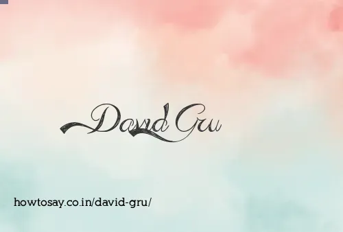 David Gru