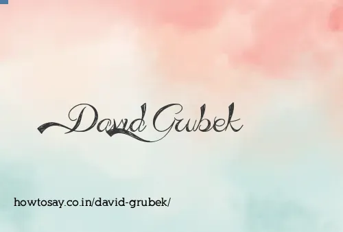 David Grubek