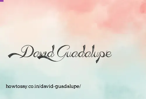 David Guadalupe