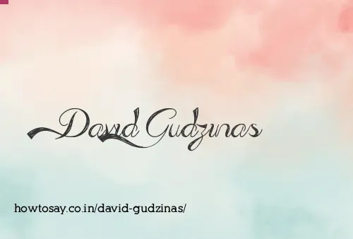 David Gudzinas