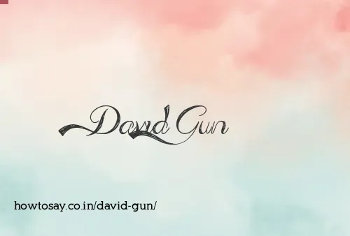 David Gun