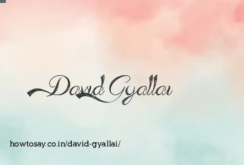 David Gyallai