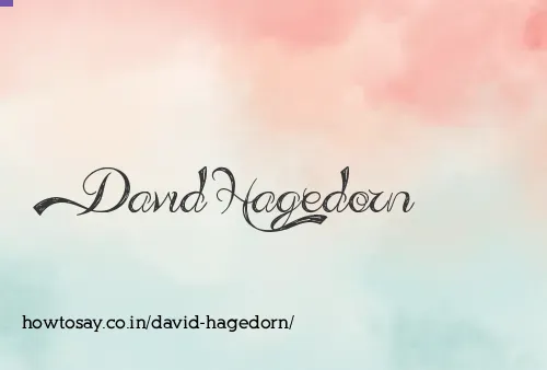 David Hagedorn