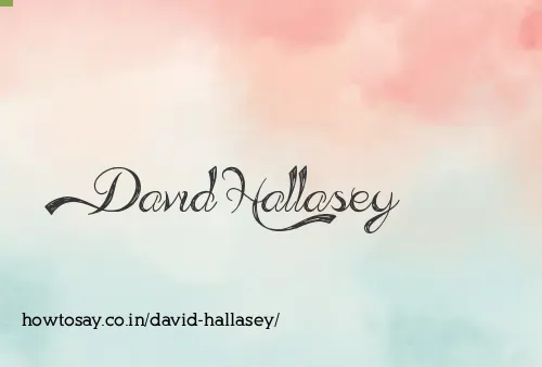 David Hallasey